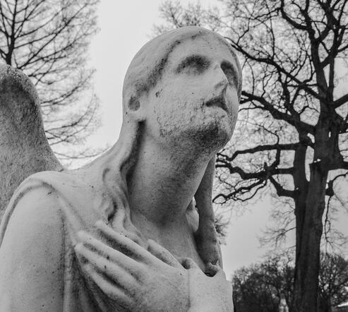 (COULD BE YOU) :: READER